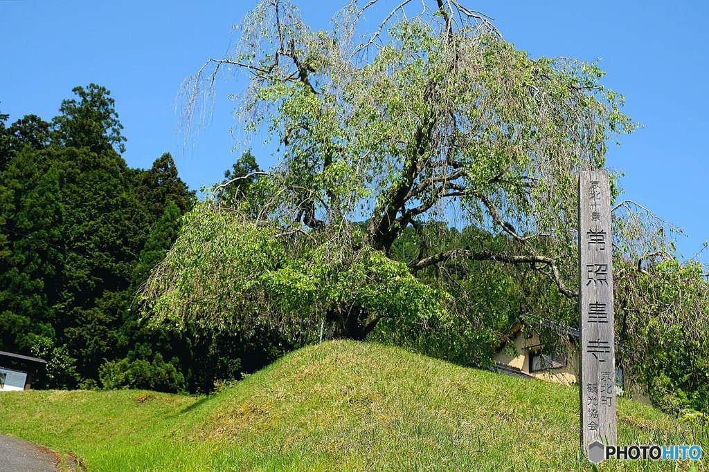 常照皇寺1