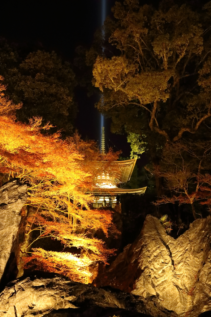 紅葉　石山寺にて