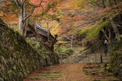 紅葉　湖東三山にて　百済寺