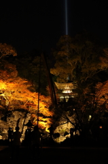 紅葉　石山寺にて