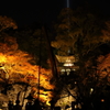 紅葉　石山寺にて
