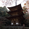 紅葉　湖東三山にて　西明寺