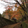 紅葉　湖東三山にて　百済寺