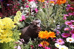 長居植物園にて