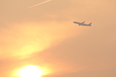 伊丹空港にて