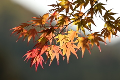 永源寺