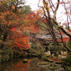 紅葉　湖東三山にて　金剛輪寺