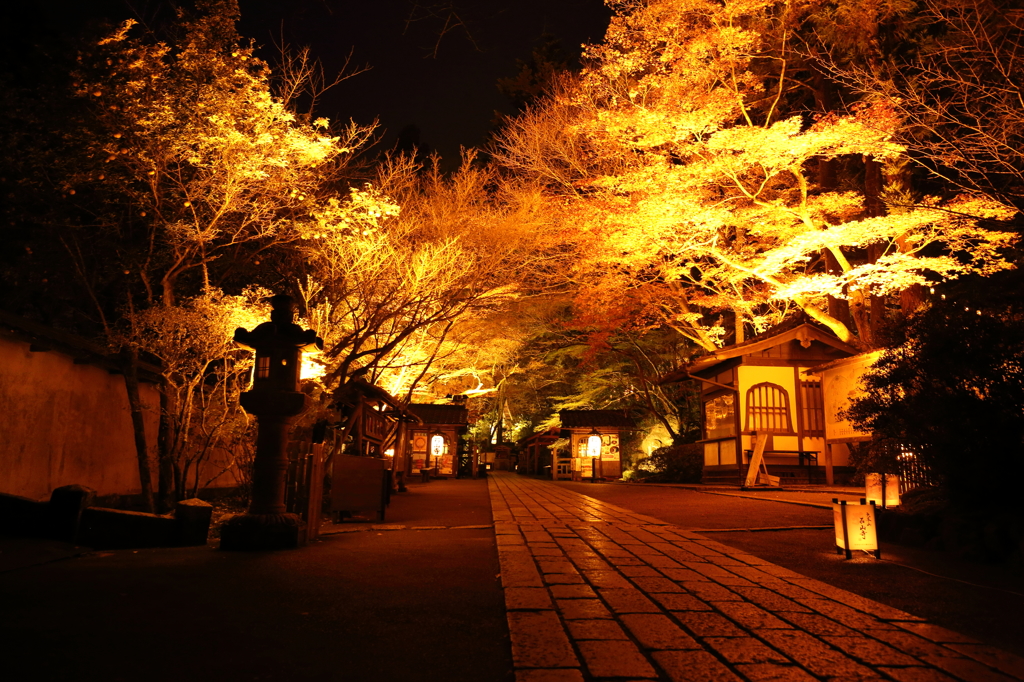 紅葉　石山寺にて