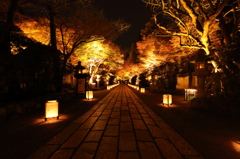 紅葉　石山寺にて