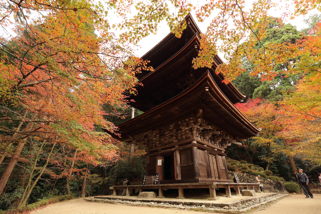 紅葉　湖東三山にて　金剛輪寺