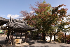 西教寺