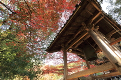 紅葉　湖東三山にて　西明寺