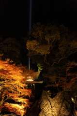 紅葉　石山寺にて