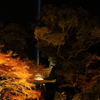 紅葉　石山寺にて