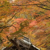 紅葉　湖東三山にて　百済寺