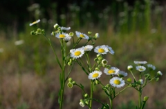 暑い1日の終わりに