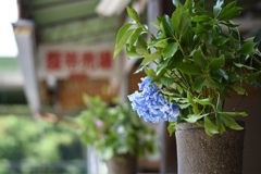 下向きの顔