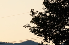 影
