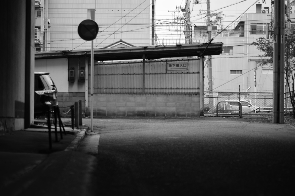 DSC_3744