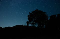 夜