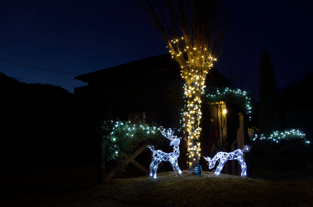 過ぎたるクリスマス