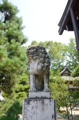 あっちむいてホイ