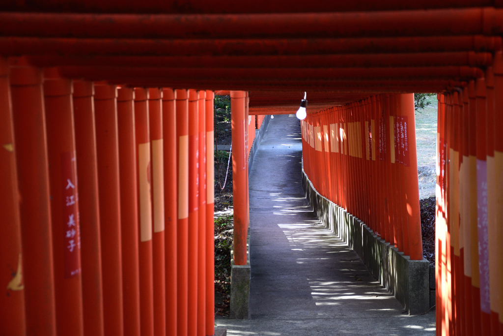 赤門の道