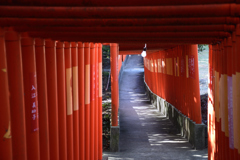 赤門の道