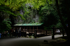 The Entrance