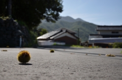 こてん