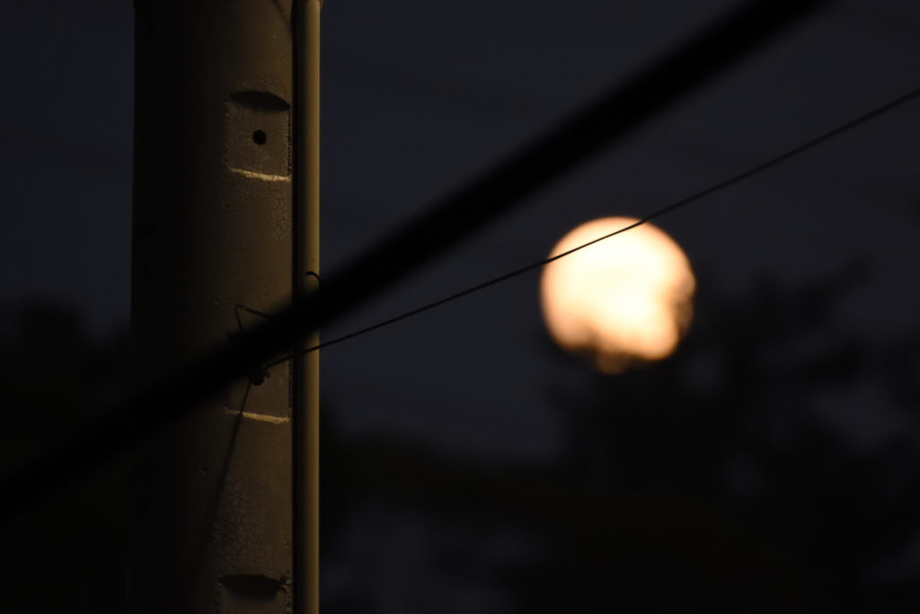 Day Light
