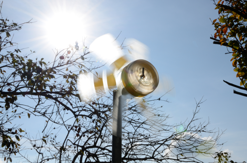 ｺﾞﾛｺﾞﾛｺﾞﾛ