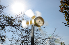 ｺﾞﾛｺﾞﾛｺﾞﾛ