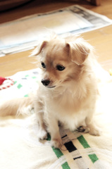 COCO4