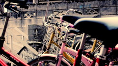 自転車がならぶ