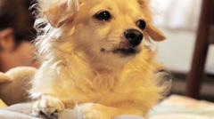 COCO6