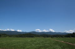 のどかな風景