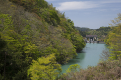 中津川を望む