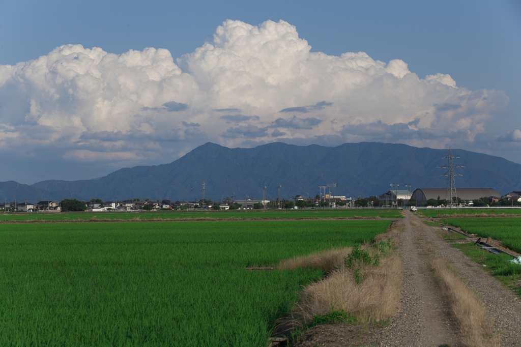 入道雲を追いかけて