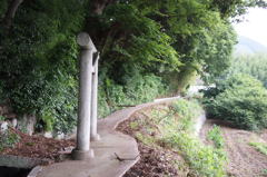 PEN Lite E-PL3 & LUMIX G 20mm/F1.7