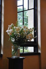 NIKON D90 & SIGMA 17-70mm F2.8-4 DC MACR