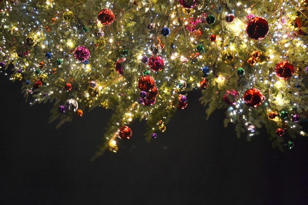 クリスマスの光