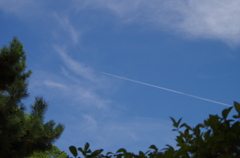 IMGP2363
