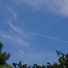 IMGP2363