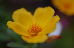 IMGP3543