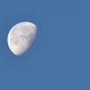 Morning moon