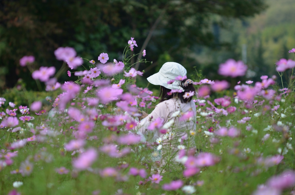 花摘み