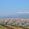 ゆっくりと花見電車