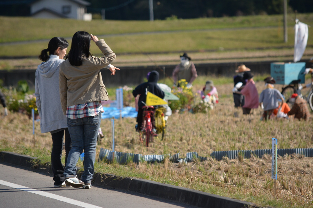 見つめる案山子