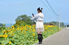 束の間の休日